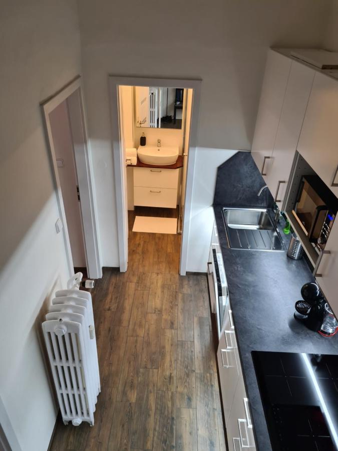 Svetly Prostorny Byt V Karline Apartment Prag